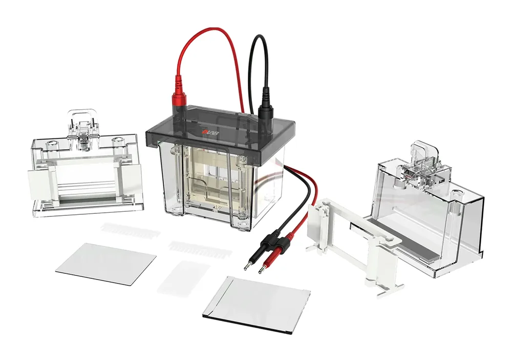 DLAB DL-Mini dikey elektroforez tankı ve jel kasetleri