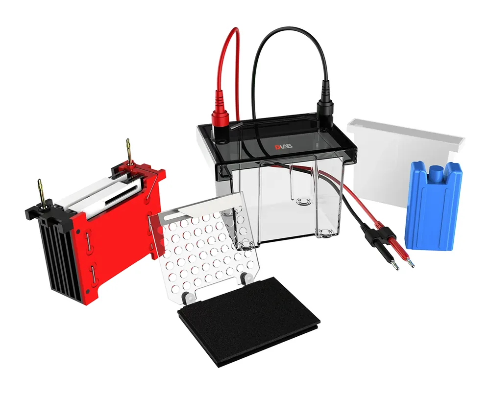 DLAB DL-ZY Western blot transfer elektroforez tankı